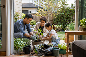 an Asian family relaxes in their back yard surrounded by greenery as they pot a tomato plant and wish it well through the summer and their yellow dog is sleeping across the yard