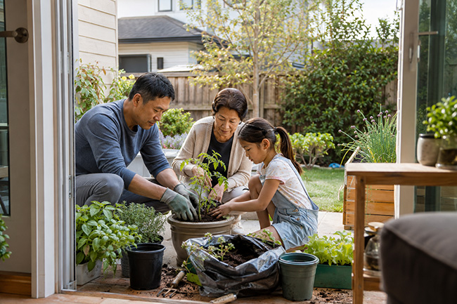 an Asian family relaxes in their back yard surrounded by greenery as they pot a tomato plant and wish it well through the summer and their yellow dog is sleeping across the yard